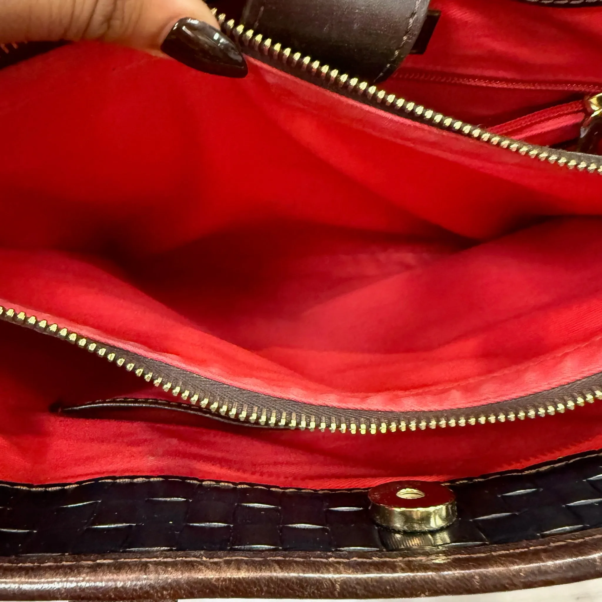 Handbag Designer By Dooney And Bourke, Size: Large